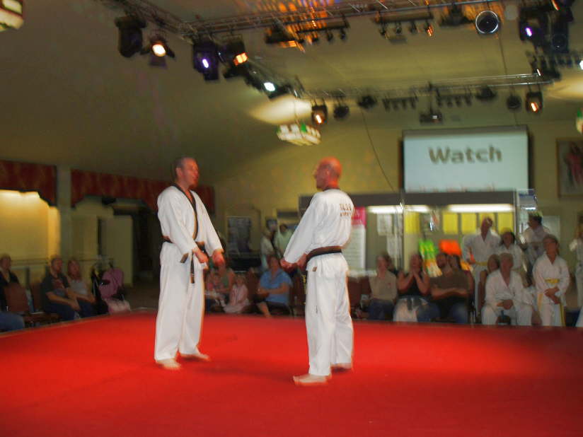 Chilford Hall Demo 08 023