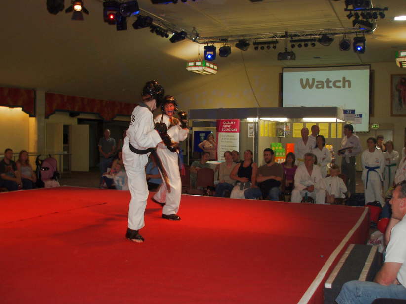 Chilford Hall Demo 08 029