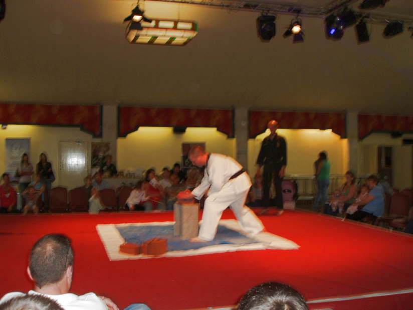 Chilford Hall Demo 08 034